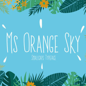 Ms Orange Sky Font