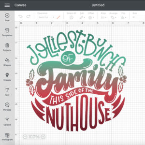 jolliest bunch of family this side of the nuthouse svg christmas winter family svg 1