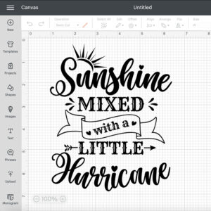 sunshine mixed with a little hurricane svg toddlers t shirt design 1