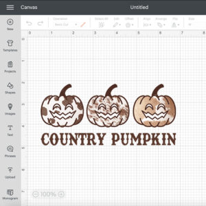 country pumpkin sublimation png country pumpkin png 1