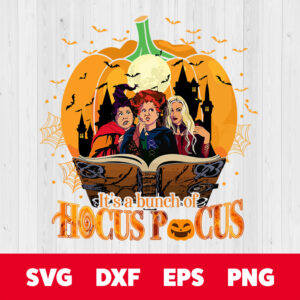 witch halloween png trick or treat png spooky vibes png witch png fall png hocus pocus png