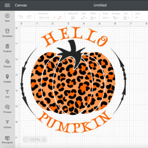 Hello Pumpkin Leopard SVG Thanksgiving Animal Print Design SVG Files 2