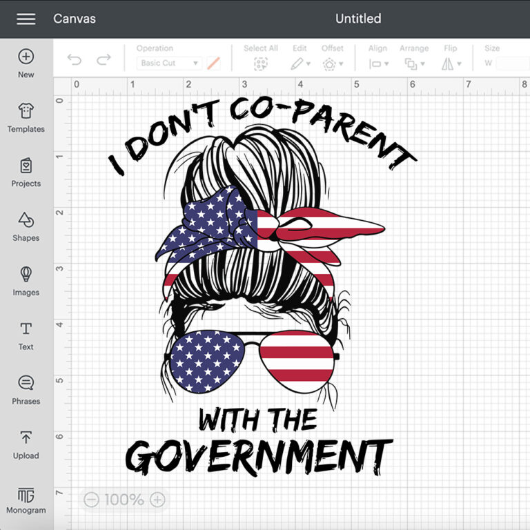 I Dont Co parent With the Government SVG 2