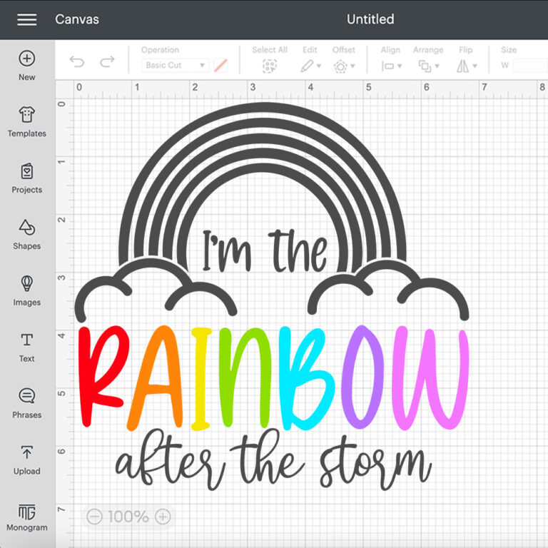 Im The Rainbow After The Storm SVG Newborn Baby T shirt SVG cut files 2