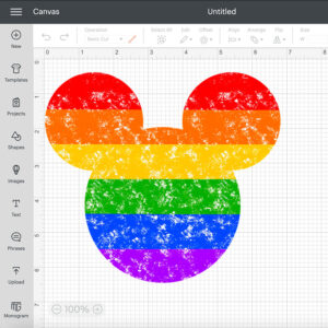 Leopard And Rainbow Mouse Vacation Design Mouse Design Rainbow PNG 2