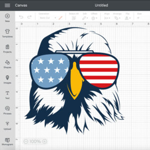 Patriotic Eagle with sunglasses SVG 4th july SVG American Eagle SVG 2