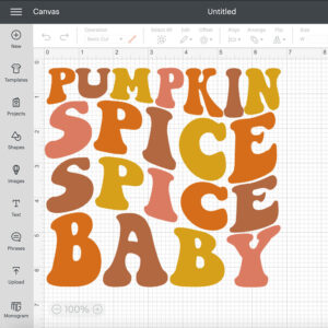 Pumpkin Spice Spice Baby SVG Thanksgiving Fall Funny T shirt SVG 2