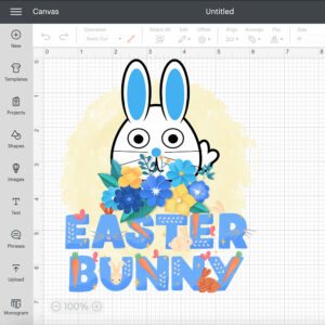 Rabbits Bunny Easter PNG 2