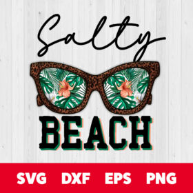 Salty Beach PNG summer beach PNG 1