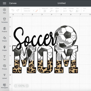 Soccer Mom PNG sport PNG 2