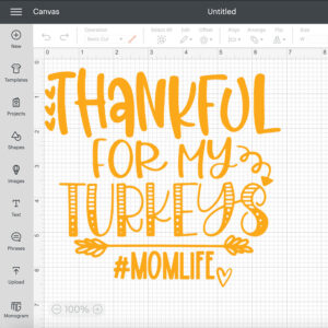 Thankful For My Turkey SVG 2