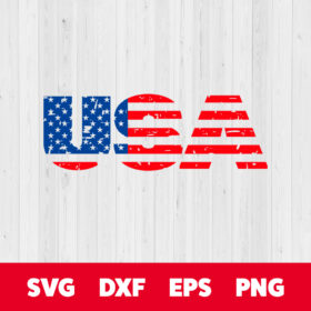 USA American Flag SVG America Independence Day Celebration SVG 1