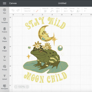 Vintage Cottagecore Moon Child Frog Fall SVG 2