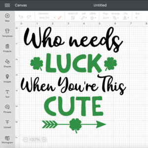 Who Needs Luck When Youre This Cute SVG St Patricks SVG 2