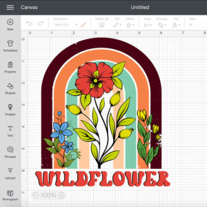 Wildflower PNG Sublimation Bloom PNG Boho Rainbow PNG 2