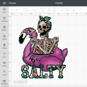 Be Salty PNG Skull PNG Summer Beach PNG 2