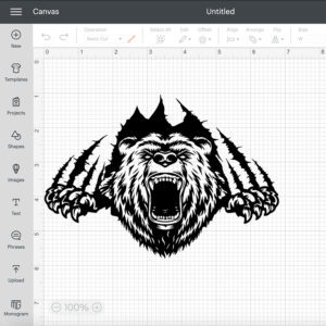 Bear Claws Scratch SVG 2