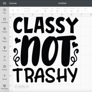 Classy Not Trashy SVG 2