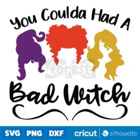 You Coulda Had A Bad Witch Svg Digital Download Design